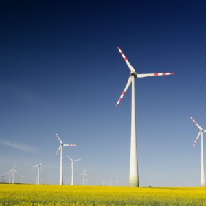 Wind